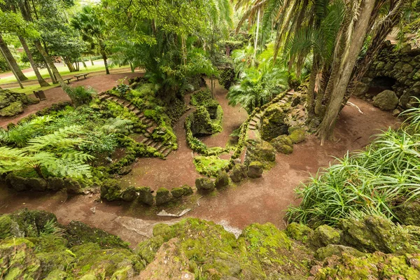Jardin botanique Antonio Borges à Ponta Delgada — Photo