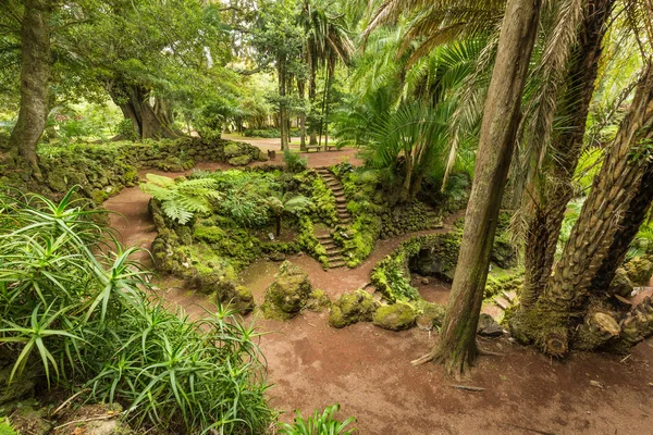 Antonio borges botanischer garten in ponta delgada — Stockfoto