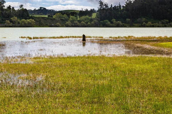 Keliling Lagoa das Furnas di Sao Miguel — Stok Foto