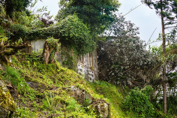 Ruine d'une vieille maison à Sao Bras sur l'île de Sao Miguel — Photo