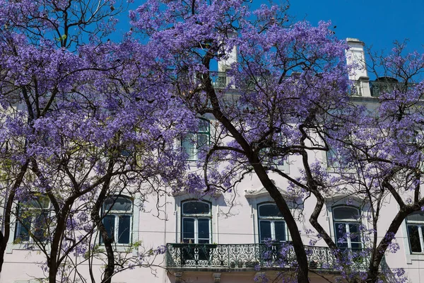 Fragmenten uit de straten van het oude Lissabon, Portugal — Stockfoto