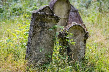 Eski terk edilmiş Yahudi Mezarlığı 