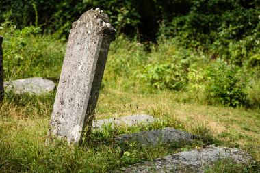 Eski terk edilmiş Yahudi Mezarlığı 