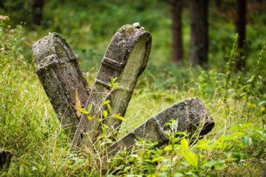 Eski terk edilmiş Yahudi Mezarlığı 
