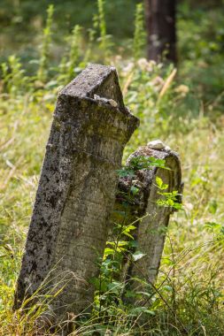 Eski terk edilmiş Yahudi Mezarlığı 