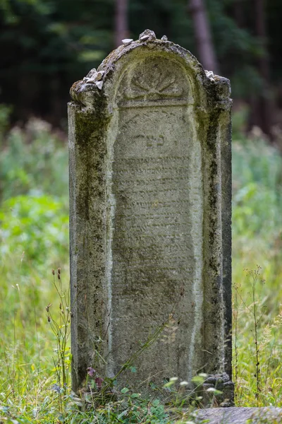 Oude verlaten Joodse begraafplaats — Stockfoto