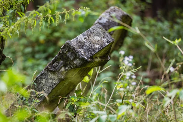 Régi, elhagyott zsidó temető — Stock Fotó