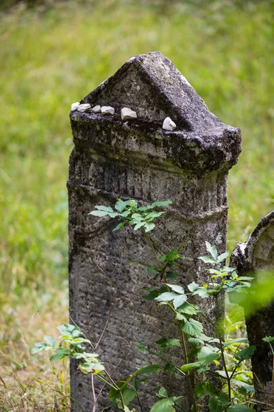 Régi, elhagyott zsidó temető — Stock Fotó