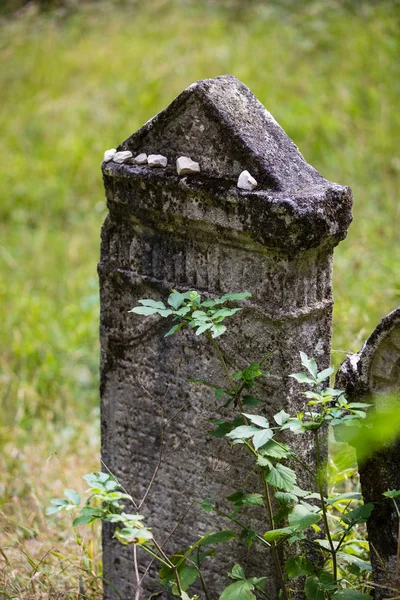 Oude verlaten Joodse begraafplaats — Stockfoto