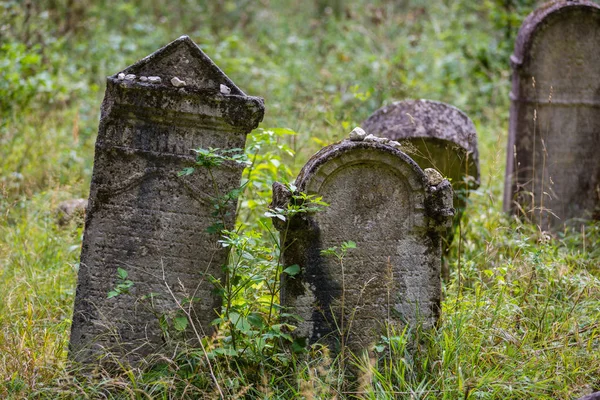 Stary opuszczony cmentarz żydowski — Zdjęcie stockowe