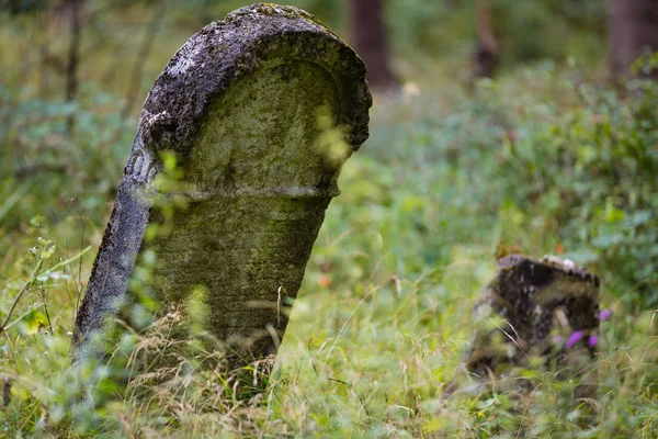 Eski terk edilmiş Yahudi Mezarlığı 