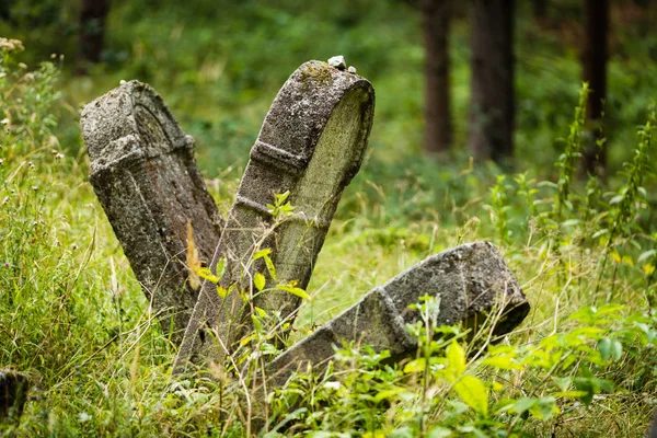 Eski terk edilmiş Yahudi Mezarlığı 