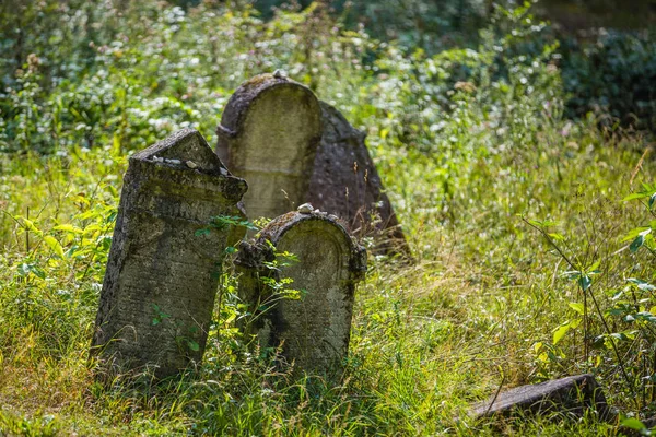 Antigo cemitério judaico abandonado — Fotografia de Stock