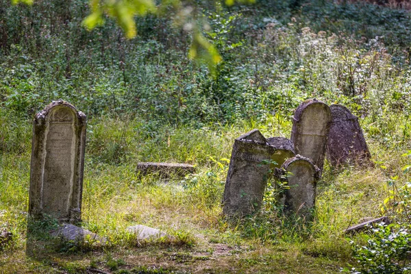 Stary opuszczony cmentarz żydowski — Zdjęcie stockowe