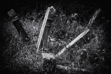 Eski terk edilmiş Yahudi mezarlığı (Bw illüstrasyon)