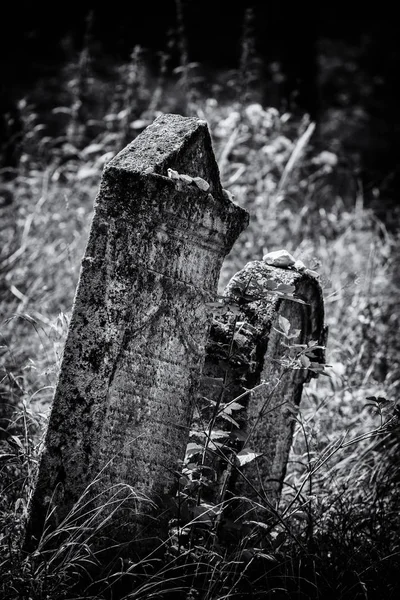 Antigo cemitério judaico abandonado (ilustração BW ) — Fotografia de Stock