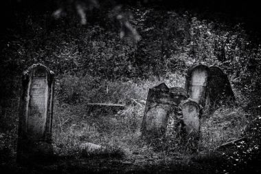 Eski terk edilmiş Yahudi mezarlığı (Bw illüstrasyon)