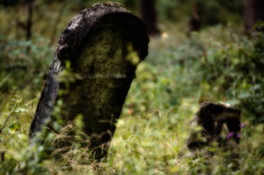 Yahudi Mezarlığı terk edilmiş. (Bulanık etkisi illüstrasyon)