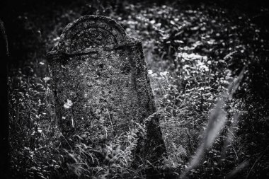 Eski terk edilmiş Yahudi mezarlığı (Bw illüstrasyon)