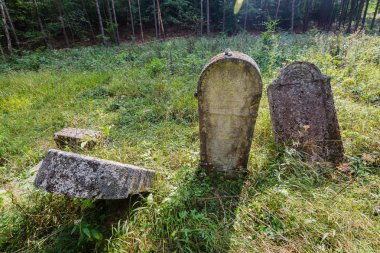 Eski terk edilmiş Yahudi Mezarlığı 