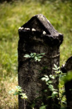 Yahudi Mezarlığı terk edilmiş. (Bulanık etkisi illüstrasyon)