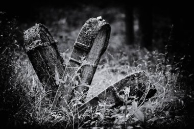 Eski terk edilmiş Yahudi mezarlığı (Bw illüstrasyon)