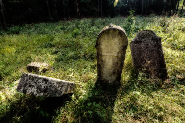 Antiguo cementerio judío abandonado. (Efecto borroso Ilustración ) — Foto de Stock