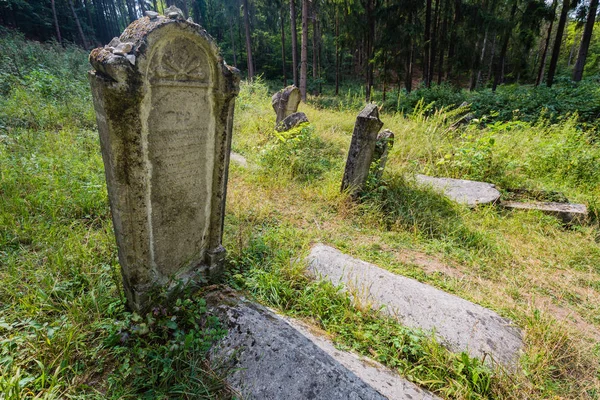 被遗弃的犹太公墓 — 图库照片