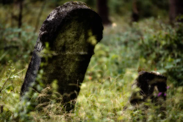 Yahudi Mezarlığı terk edilmiş. (Bulanık etkisi illüstrasyon)