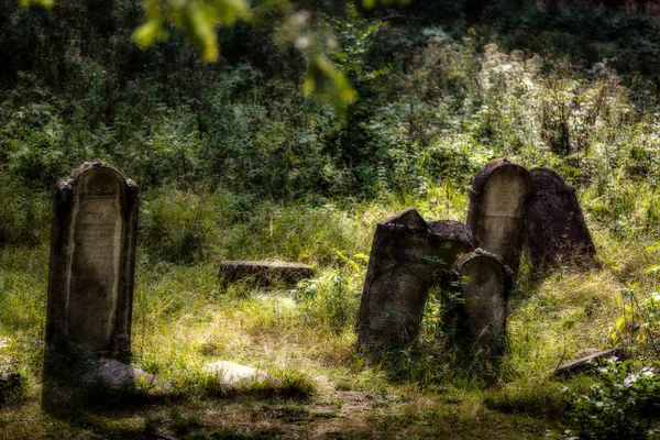 Yahudi Mezarlığı terk edilmiş. (Bulanık etkisi illüstrasyon)