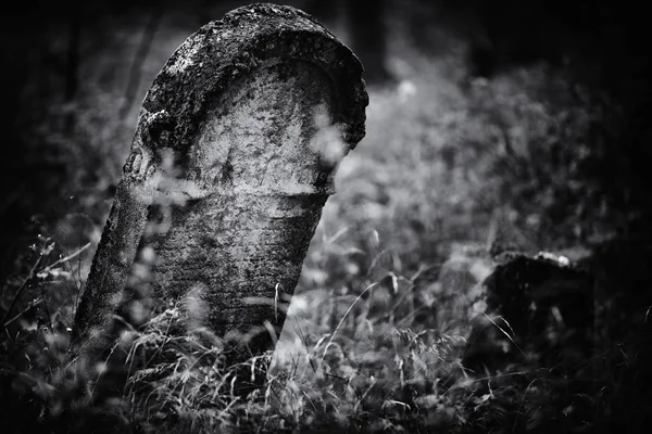 Antigo cemitério judaico abandonado (ilustração BW ) — Fotografia de Stock