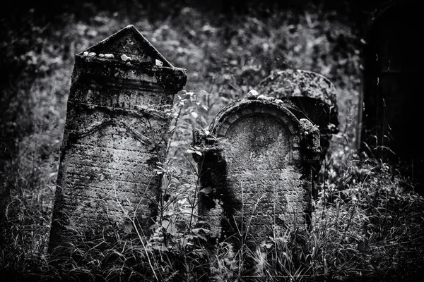 Old abandoned Jewish cemetery (BW illustration) — Stock Photo, Image