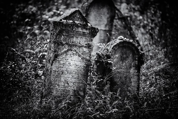 Antigo cemitério judaico abandonado (ilustração BW ) — Fotografia de Stock