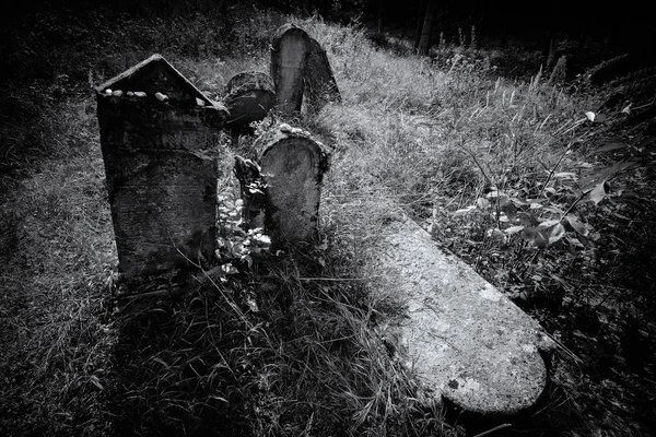 Antigo cemitério judaico abandonado (ilustração BW ) — Fotografia de Stock