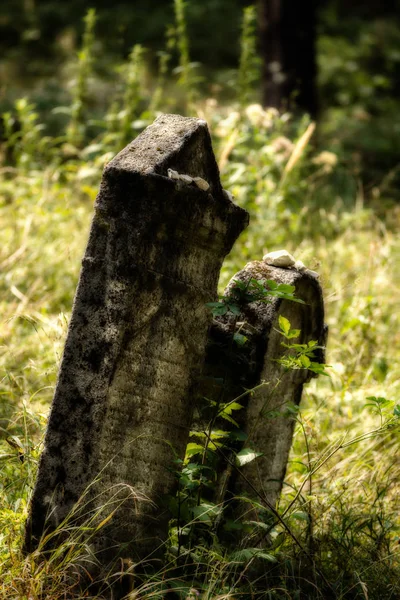 Opuszczony cmentarz żydowski. (Efekt rozmycia ilustracja) — Zdjęcie stockowe