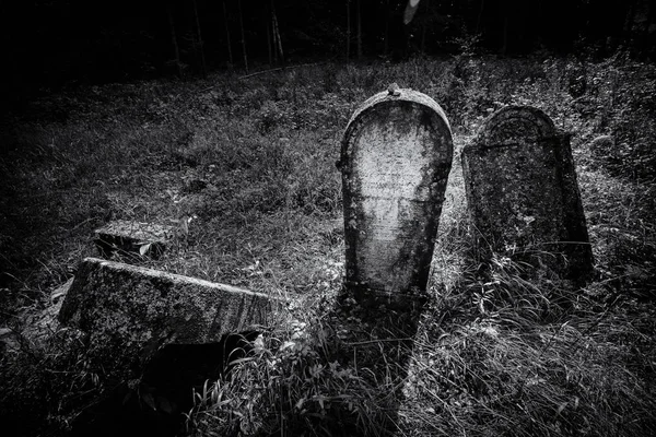 Antigo cemitério judaico abandonado (ilustração BW ) — Fotografia de Stock