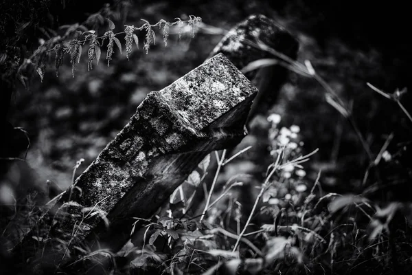 Eski terk edilmiş Yahudi mezarlığı (Bw illüstrasyon)