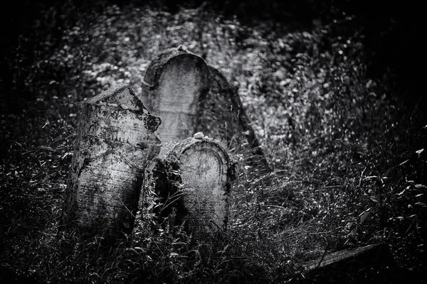 Eski terk edilmiş Yahudi mezarlığı (Bw illüstrasyon)