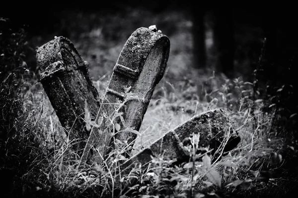 Eski terk edilmiş Yahudi mezarlığı (Bw illüstrasyon)