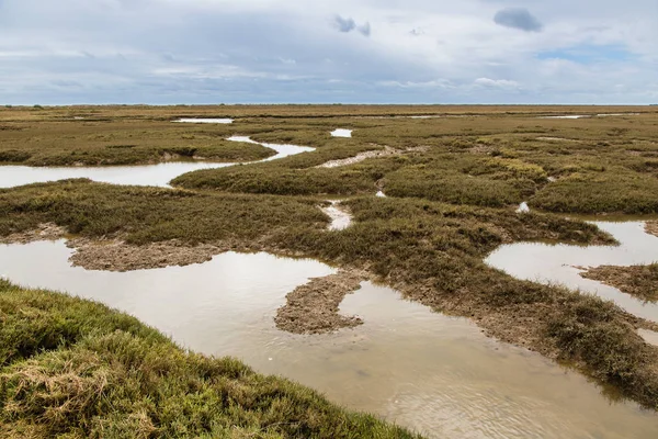 Våtmarksområder nær byen Tavira i Portugal – stockfoto