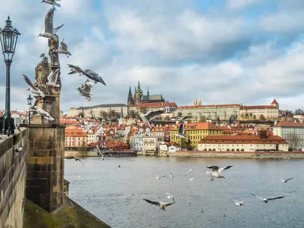 Vue du château de Prague avec la cathédrale Saint-Vitus . — Photo