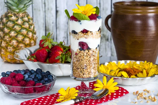 Café da manhã com muesli, iogurte, frutas e flores comestíveis — Fotografia de Stock