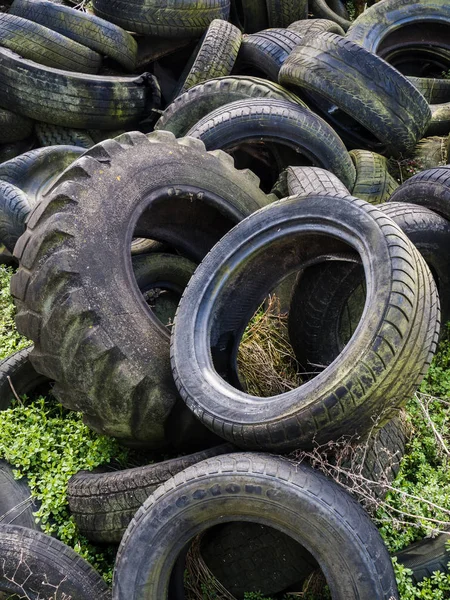 Wild dump of old tires