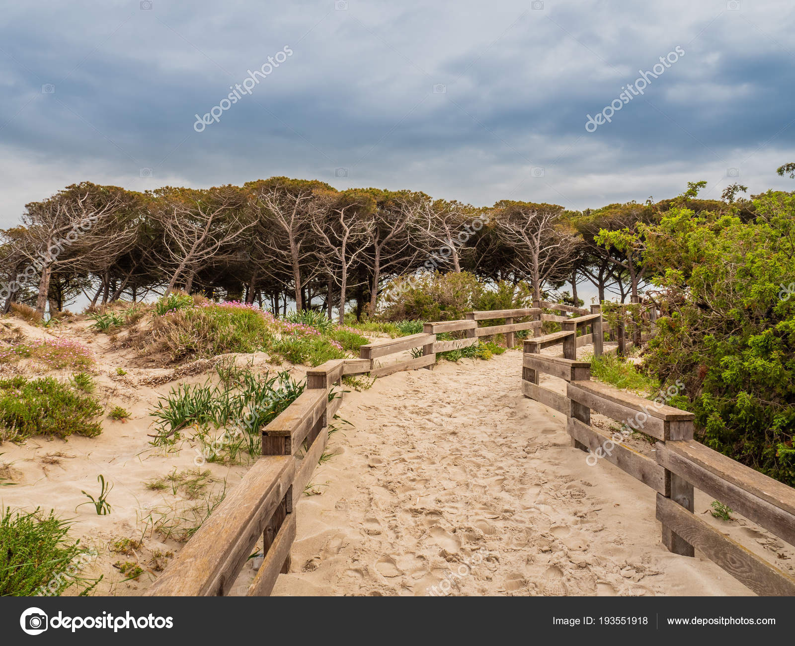 Spiaggia Di Sabbia Vicino A Alghero Sardegna Foto Stock