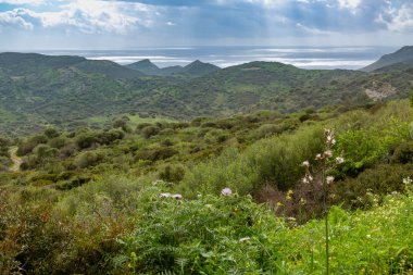 Sardunya Adası'nın kuzeybatı kıyısı