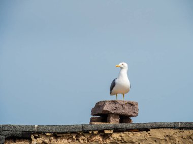 Castelsardo Ortaçağ surlarının Kuzey Sardinya
