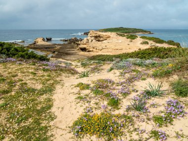 Sardunya, İtalya'nın Batı Kıyısı