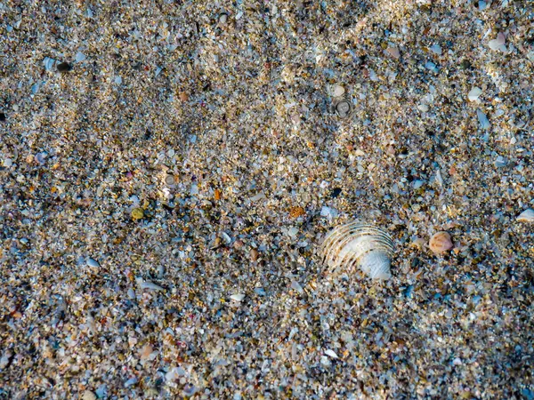 Struktury piasku na plaży w Alghero, Sardynia — Zdjęcie stockowe