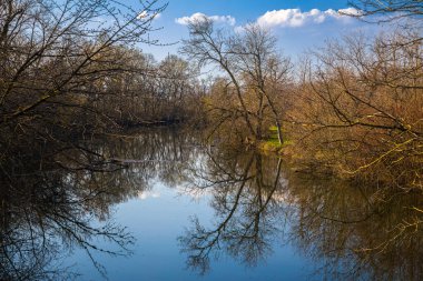 Bahar zamanı küçük Tuna nehri. Slovakya 'nın Zalesie köyü yakınlarında..