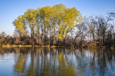 Bahar zamanı küçük Tuna nehri. Slovakya 'nın Malinovo köyü yakınlarında..